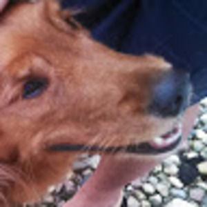 Meet your Posher, Matt